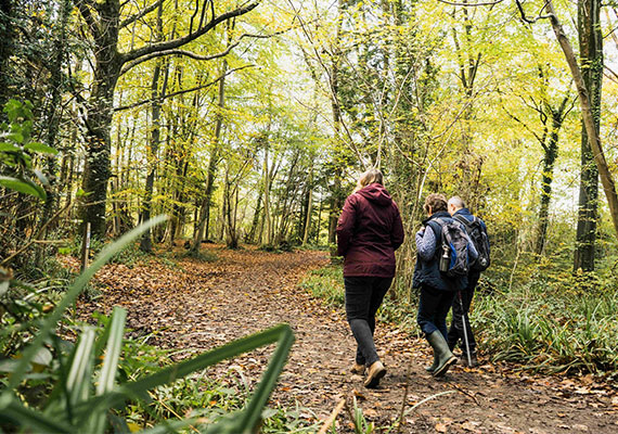 Walking and Cycling Trails