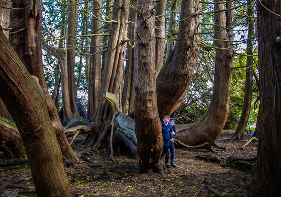 Caring For The Environment and Heritage