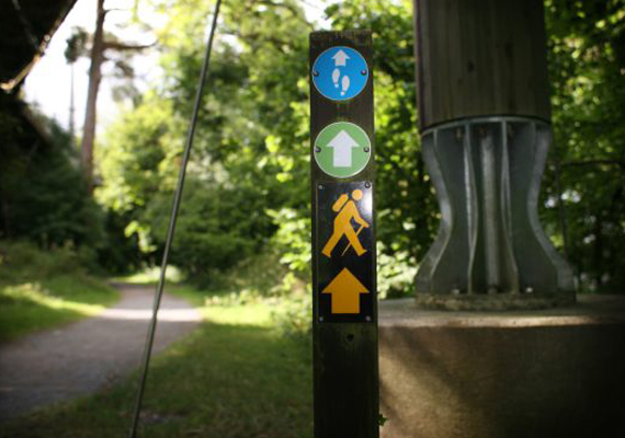 Promoting Healthy and Enjoyable Activities